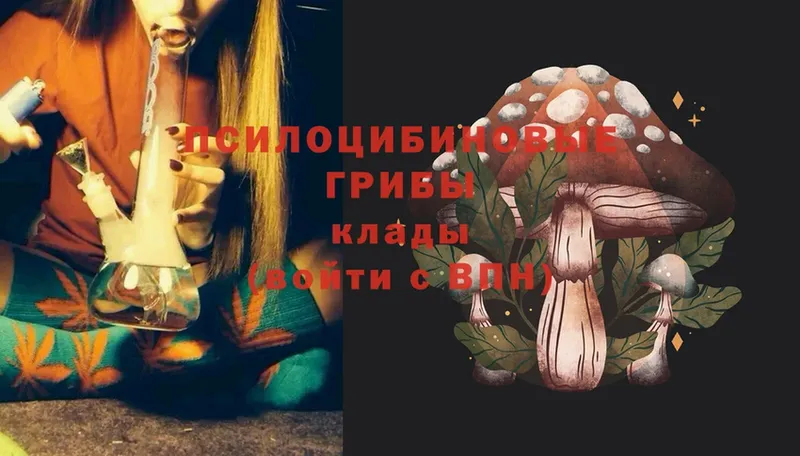 даркнет сайт  Велиж  kraken ссылки  Галлюциногенные грибы Cubensis 